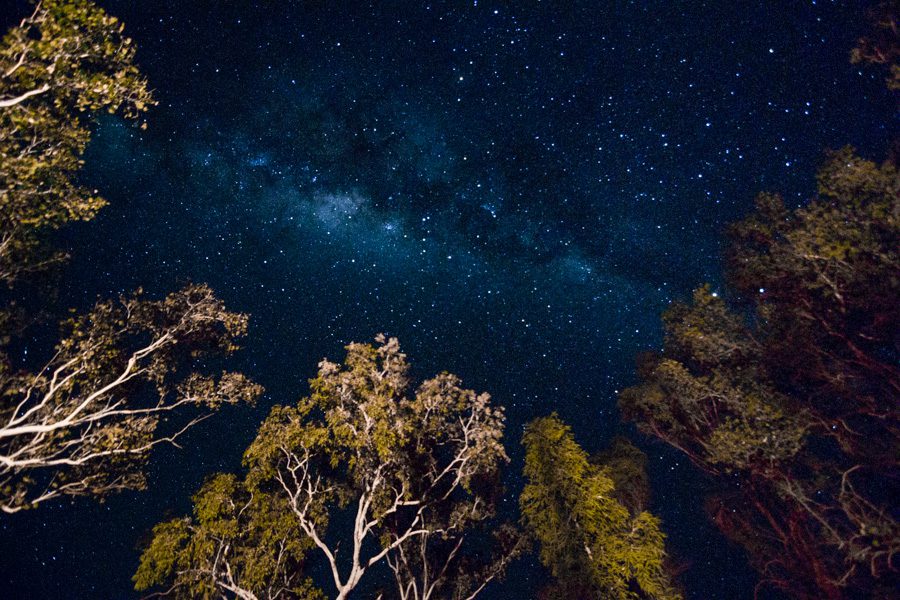 The Milky Way over Kakadu National Park